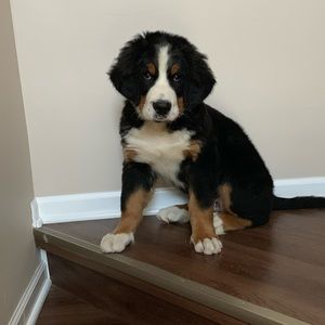 Meet your Posher, Sabrina